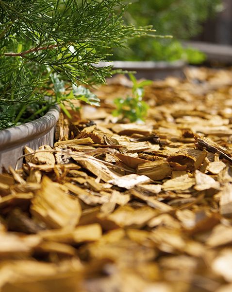 Rindenmulch